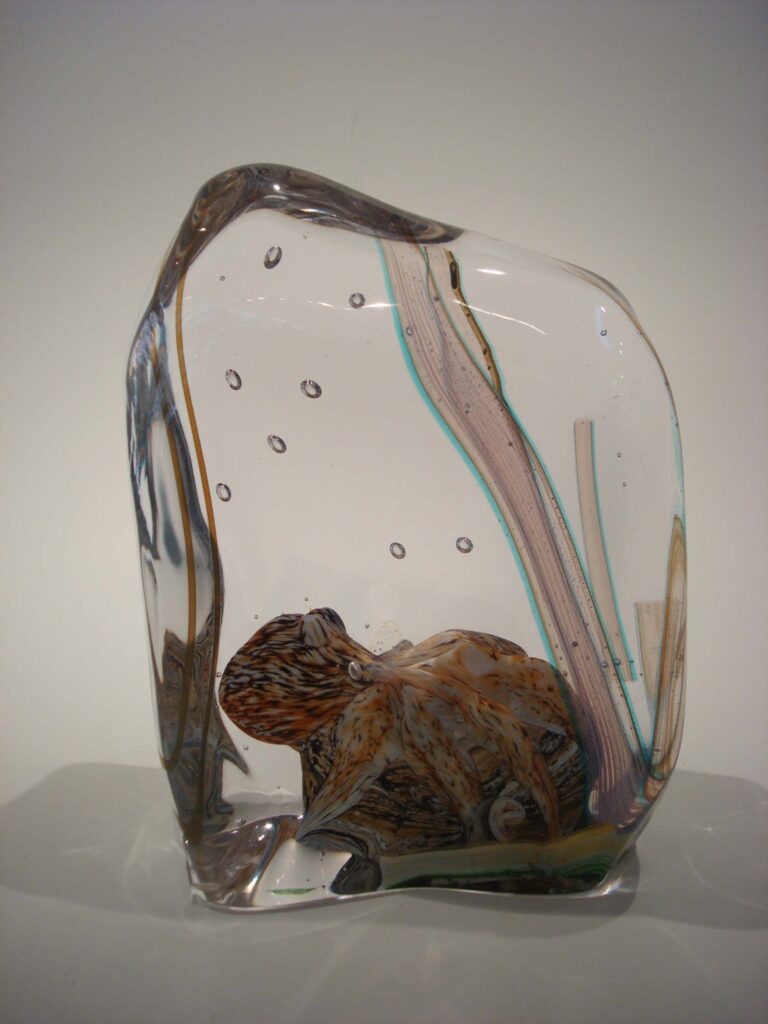 Signorettooctopus1_compressed